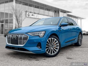 Used 2019 Audi e-tron Technik Luxury Package Driver Assist Accident Free for Sale in Winnipeg, Manitoba