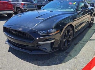 Used 2022 Ford Mustang EcoBoost for Sale in Halifax, Nova Scotia