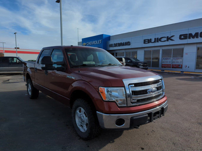 2014 Ford F-150 XLT | AMVIC INSPECTION PASSED