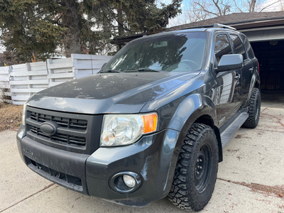 2008 ford escape limited