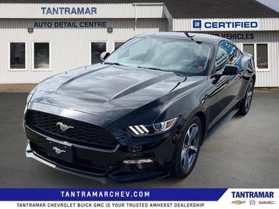 Used 2016 Ford Mustang V6 66000kms for Sale in Amherst, Nova Scotia