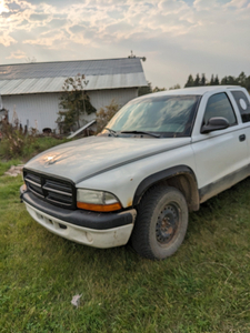 2003-04 Dodge Dakota