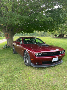 2017 Dodge challenger Scat pack Shaker