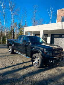 Ford F150 FX4 2010