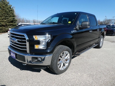 Used 2016 Ford F-150 XLT for Sale in Essex, Ontario