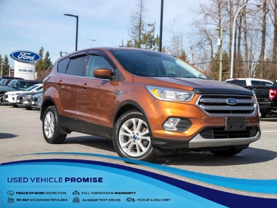 Used 2017 Ford Escape SE for Sale in Surrey, British Columbia