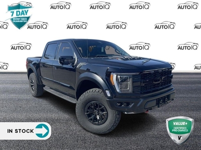Used 2023 Ford F-150 RAPTOR for Sale in Hamilton, Ontario