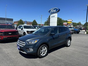 Used 2019 Ford Escape SE for Sale in Sturgeon Falls, Ontario