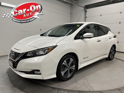 Used 2018 Nissan Leaf SL LEATHER NAV 360 CAM HTD SEATS BLIND SPOT for Sale in Ottawa, Ontario