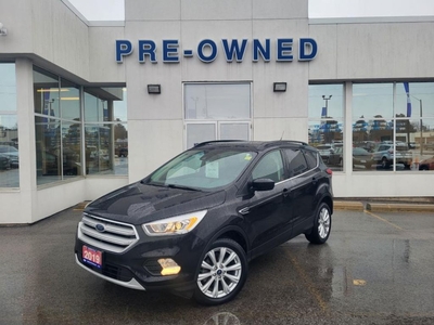 Used 2019 Ford Escape SEL 4RM for Sale in Niagara Falls, Ontario