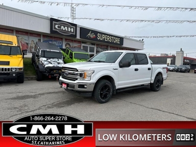Used 2019 Ford F-150 XLT LOW-KMS TOW-CTRL APPLE-CP REAR-CAM for Sale in St. Catharines, Ontario