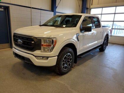 Used 2022 Ford F-150 XLT 301A W/REMOTE START & REAR VIEW CAMERA for Sale in Moose Jaw, Saskatchewan