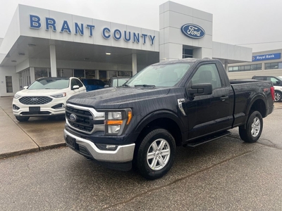 Used 2023 Ford F-150 XLT 4WD Reg Cab 6.5' Box for Sale in Brantford, Ontario