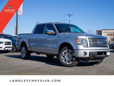 Used 2012 Ford F-150 Platinum Low KM Sunroof Low KM for Sale in Surrey, British Columbia