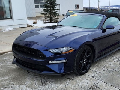 Used 2019 Ford Mustang EcoBoost for Sale in Woodstock, New Brunswick