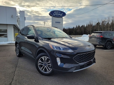 Used 2020 Ford Escape SEL AWD W/ ONE OWNER / LEATHER for Sale in Port Hawkesbury, Nova Scotia