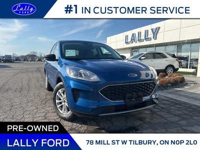 Used 2022 Ford Escape SE, AWD, Heated Seats, Ford Pass! for Sale in Tilbury, Ontario
