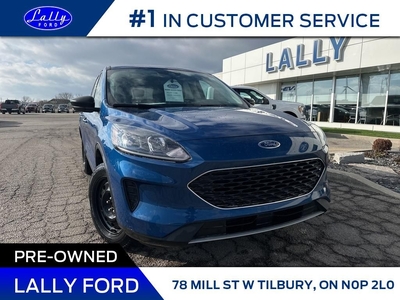 Used 2022 Ford Escape SE, Nav, Rear Camera, Ford Pass!! for Sale in Tilbury, Ontario