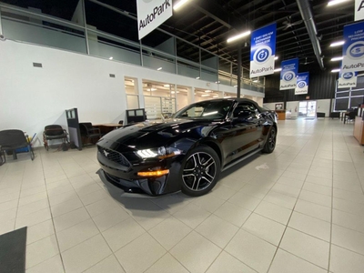 Used 2023 Ford Mustang EcoBoost Premium Convertible for Sale in Innisfil, Ontario