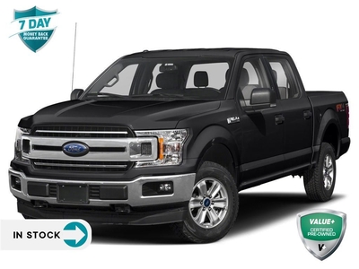 Used 2019 Ford F-150 XLT 5.0L NAV SPORT for Sale in Sault Ste. Marie, Ontario