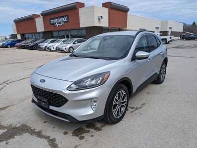 Used 2020 Ford Escape for Sale in Steinbach, Manitoba