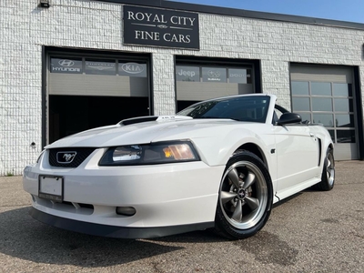 Used 2003 Ford Mustang GT V8 MANUAL! for Sale in Guelph, Ontario