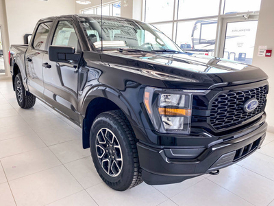 2023 Ford F-150 XL SuperCrew 4WD STX Package