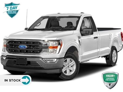 Used 2022 Ford F-150 XLT READY TO WORK REG CAB LONG BOX 4X4 for Sale in Kitchener, Ontario