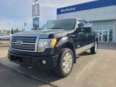 2011 FORD F-150 PLATINUM/LEATHER/NAV/BACKUPCAM/PANOROOF