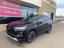 2019 TOYOTA RAV4 MINT CONDITION / ALBERTA VEHICLE / NEVER BEEN IN AN ACCIDENT