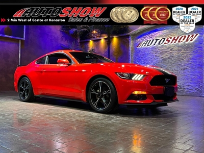 Used 2016 Ford Mustang 6 Speed M/T - V6 Borla Exhaust, Local Trade, Super Low Kms!! for Sale in Winnipeg, Manitoba