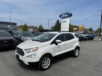 Used 2020 Ford EcoSport SE for Sale in Sturgeon Falls, Ontario