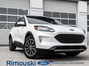 Used Ford Escape 2022 for sale in Rimouski, Quebec
