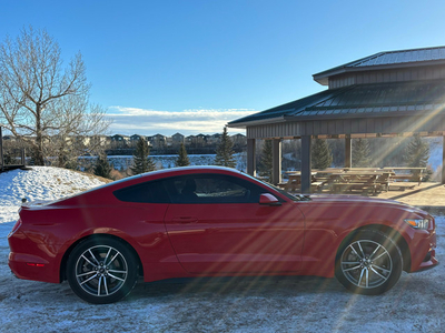 2017 Eco Boost Ford Mustang eager to sell o.b.o