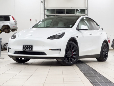 2022 Tesla Model Y Performance AWD w/FSD