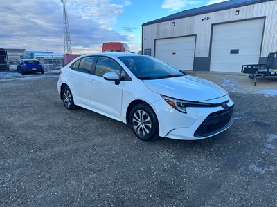 2023 Toyota Corolla LE Hybrid *ONLY 8,000 KMS*