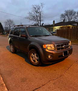 Ford escape 2010 XLT