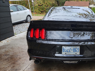 Mustang gt with performance pack. one owner low kms