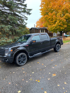 2014 Ford F150 FX4