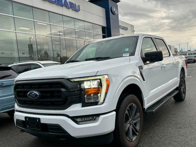 2023 Ford F-150 CLEAN CARFAX | LOW KMS | BACK UP CAMERA | PUSH T