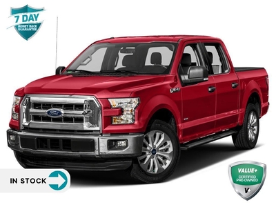 Used 2017 Ford F-150 XLT 2.7L ECOBOOST NAV REMOTE START FX4 for Sale in Sault Ste. Marie, Ontario