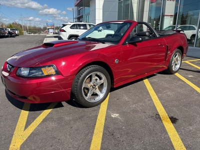 Used 2004 Ford Mustang GT for Sale in Simcoe, Ontario