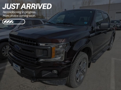 Used 2019 Ford F-150 XLT $262 BI-WEEKLY - NO REPORTED ACCIDENTS, SMOKE-FREE, ONE OWNER, LOCAL TRADE for Sale in Cranbrook, British Columbia