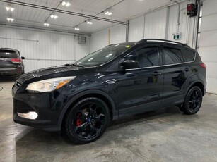 Used 2014 Ford Escape SE *FULLY LOADED* for Sale in Winnipeg, Manitoba