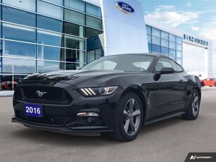 Used 2016 Ford Mustang V6 Local Vehicle Low Kilometers for Sale in Winnipeg, Manitoba