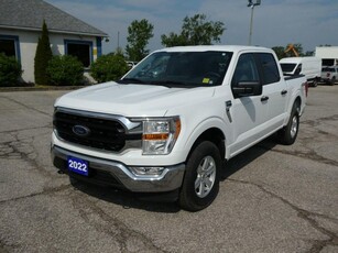 Used 2022 Ford F-150 SUPERCREW XLT for Sale in Essex, Ontario