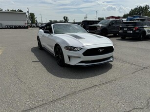 Used Ford Mustang 2022 for sale in gatineau-secteur-buckingham, Quebec
