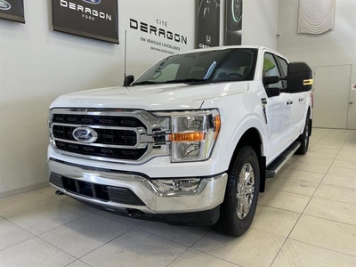 Used Ford F-150 2023 for sale in Cowansville, Quebec