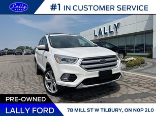 Used 2019 Ford Escape Titanium, AWD, Roof, Nav, Leather! for Sale in Tilbury, Ontario