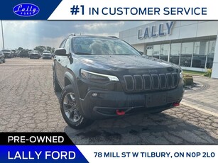 Used 2019 Jeep Cherokee Trailhawk Elite,4x4, Roof, Nav, Leather!! for Sale in Tilbury, Ontario